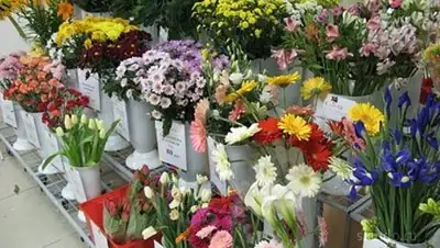 Zakon.kz, фото - Новости Zakon.kz от 08.03.2014 02:28