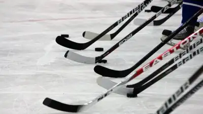 Zakon.kz, фото - Новости Zakon.kz от 02.02.2017 03:12