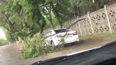 соцсети, фото - Новости Zakon.kz от 23.05.2018 14:59