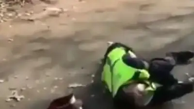 Zakon.kz, фото - Новости Zakon.kz от 29.10.2017 23:52