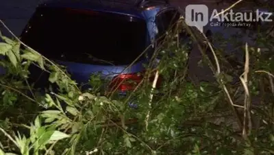 Inaktau.kz, фото - Новости Zakon.kz от 26.05.2019 09:53