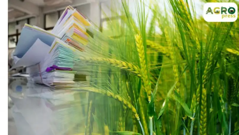 Страхование в растениеводстве и животноводстве стало добровольным