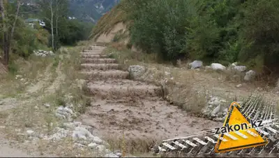 zakon.kz, фото - Новости Zakon.kz от 14.08.2019 11:14