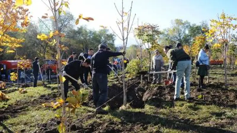 Токаев о высадке деревьев: Без показухи и очковтирательства