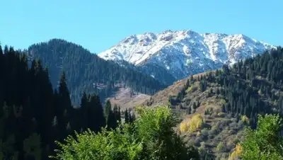 Я люблю Алматы, фото - Новости Zakon.kz от 24.09.2018 11:06