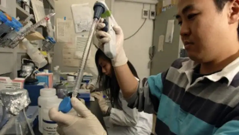 В Аргентине семья клонировала своего домашнего пса