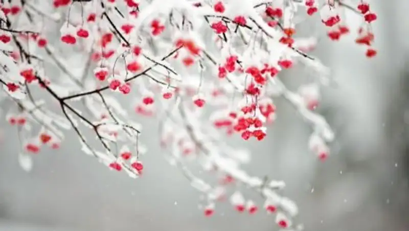 Неустойчивая погода ждет казахстанцев в субботу