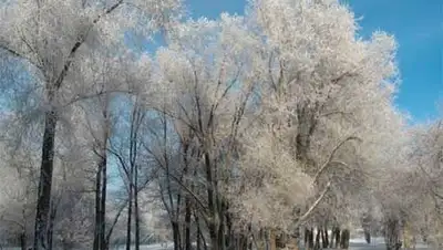 Zakon.kz, фото - Новости Zakon.kz от 18.02.2014 15:22