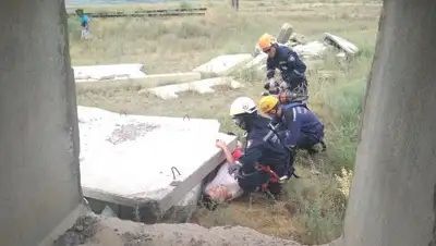 zakon.kz, фото - Новости Zakon.kz от 20.06.2018 16:55