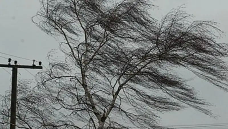 В Казгидромете опровергли информацию Ильина о приближении урагана