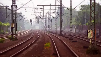 Pixabay, фото - Новости Zakon.kz от 13.05.2020 18:00