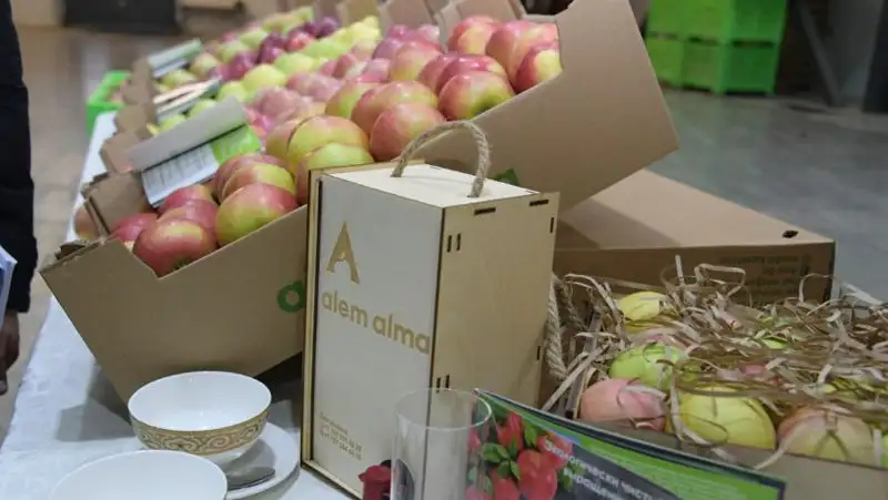 Предприятие по переработке яблок, фото - Новости Zakon.kz от 26.12.2021 11:14