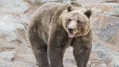 ETtoday, фото - Новости Zakon.kz от 17.10.2020 22:21