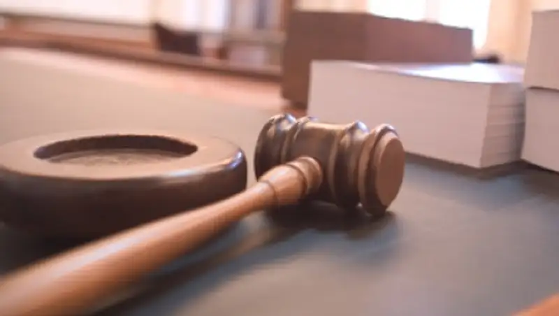 В Павлодарской области осуждены браконьеры за отстрел 4 косуль