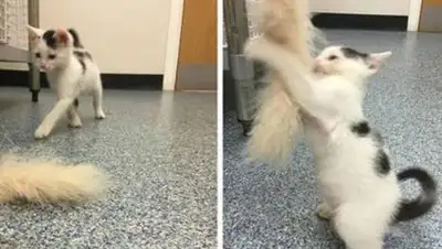 Zakon.kz, фото - Новости Zakon.kz от 25.05.2017 20:41