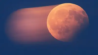 Zakon.kz, фото - Новости Zakon.kz от 21.08.2017 01:32