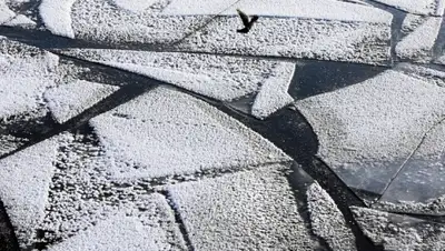 Zakon.kz, фото - Новости Zakon.kz от 26.10.2015 15:00