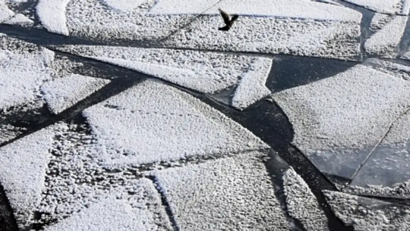 Трое детей утонули в Иркутской области, провалившись под лед