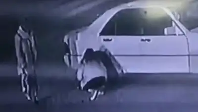 Лада, фото - Новости Zakon.kz от 27.11.2019 13:47