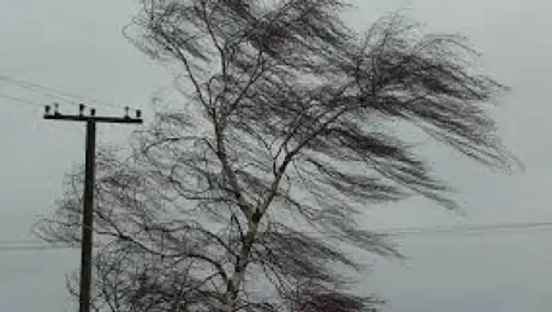 В ВКО и Алматинской области объявлено штормовое предупреждение 