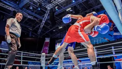 Zakon.kz, фото - Новости Zakon.kz от 23.11.2016 16:06