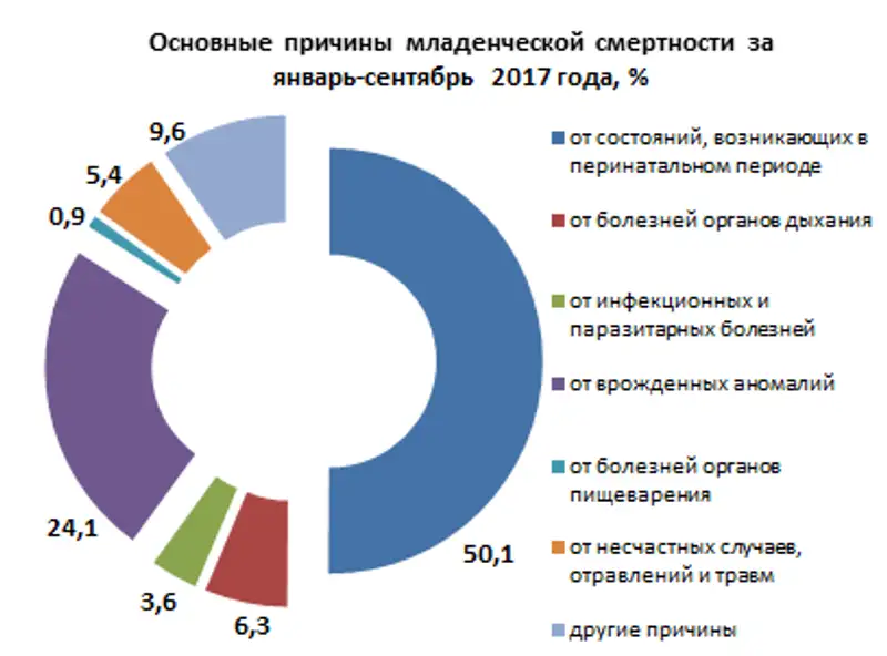 , фото - Новости Zakon.kz от 15.11.2017 10:54