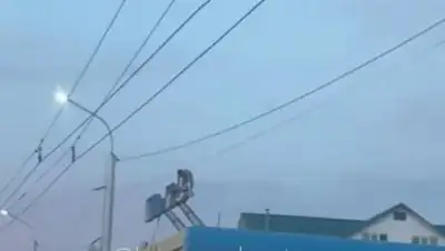 кадр видео, фото - Новости Zakon.kz от 26.05.2021 11:16