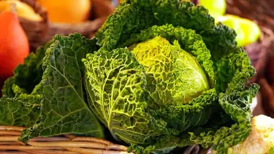 ингредиент, рекомендации, фото - Новости Zakon.kz от 19.12.2021 12:33