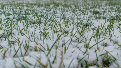 Синоптики рассказали, какой будет погода в Казахстане 16 ноября , фото - Новости Zakon.kz от 15.11.2022 16:51