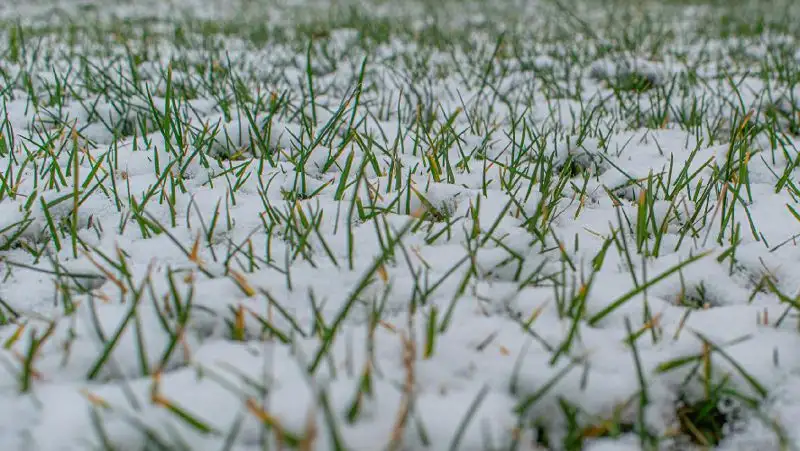 Синоптики рассказали, какой будет погода в Казахстане 16 ноября