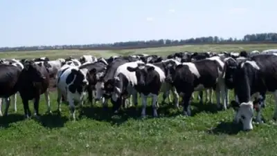 Zakon.kz, фото - Новости Zakon.kz от 21.11.2016 19:15