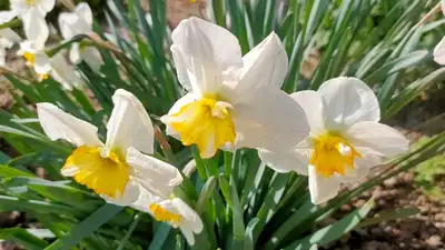 До 26 градусов тепла ожидается в Казахстане на выходных , фото - Новости Zakon.kz от 24.03.2023 11:43