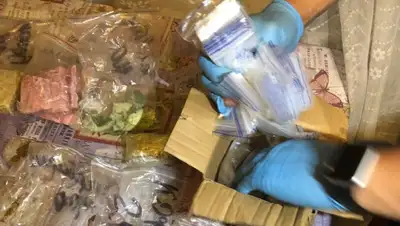 Пресс-служба ДП ВКО, фото - Новости Zakon.kz от 05.06.2020 14:09