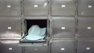 Zakon.kz, фото - Новости Zakon.kz от 13.12.2017 16:56