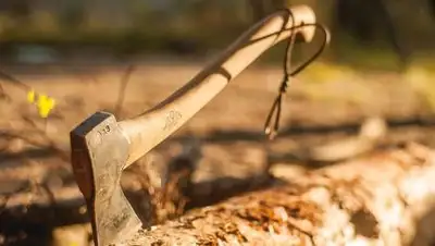 sib.fm, фото - Новости Zakon.kz от 05.03.2021 17:14