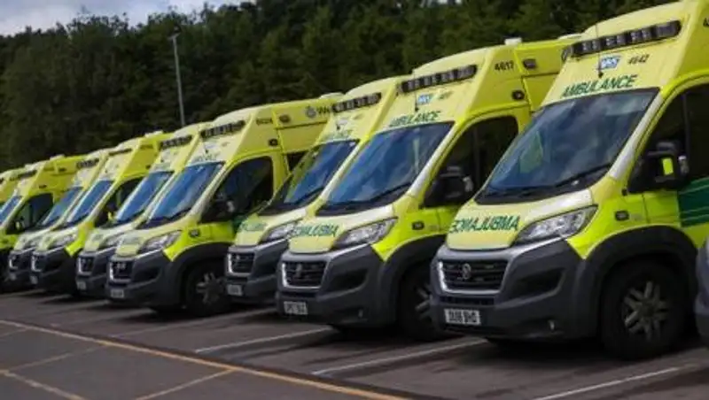 Из-за мутации коронавируса ВОЗ усиливает контроль