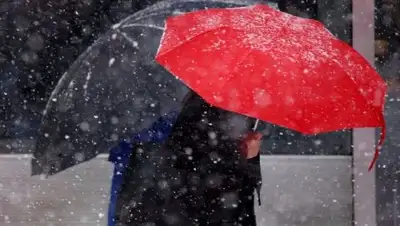 Zakon.kz, фото - Новости Zakon.kz от 11.04.2017 12:00