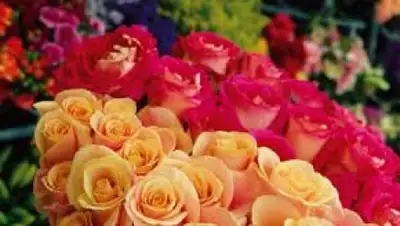 Zakon.kz, фото - Новости Zakon.kz от 20.08.2015 01:39