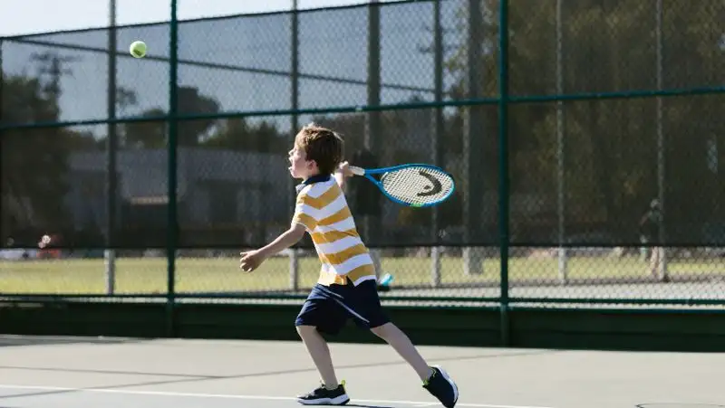 Какие нарушения выявили при реализации программы АrtSport в ВКО