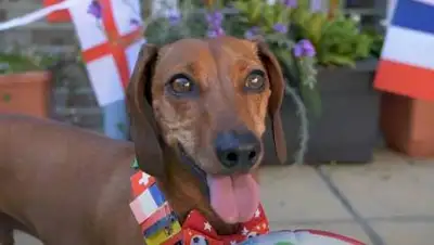 isport.ua, фото - Новости Zakon.kz от 24.06.2021 00:52