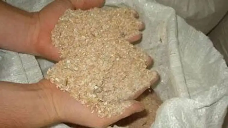 В Кызылорде запустят завод по производству комбикормов