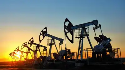 Фото: Bogat.bg, фото - Новости Zakon.kz от 01.12.2017 10:01