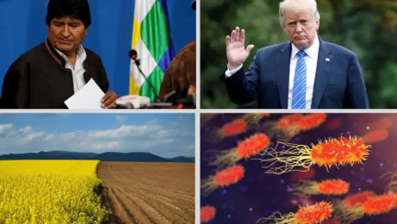 Продажа земли Украины, отставка Эво Моралеса и тайна инфекции-людоеда – мировые итоги недели