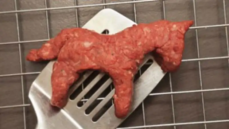 Россельхознадзор пресек ввоз партии конины из Кокшетау в РФ