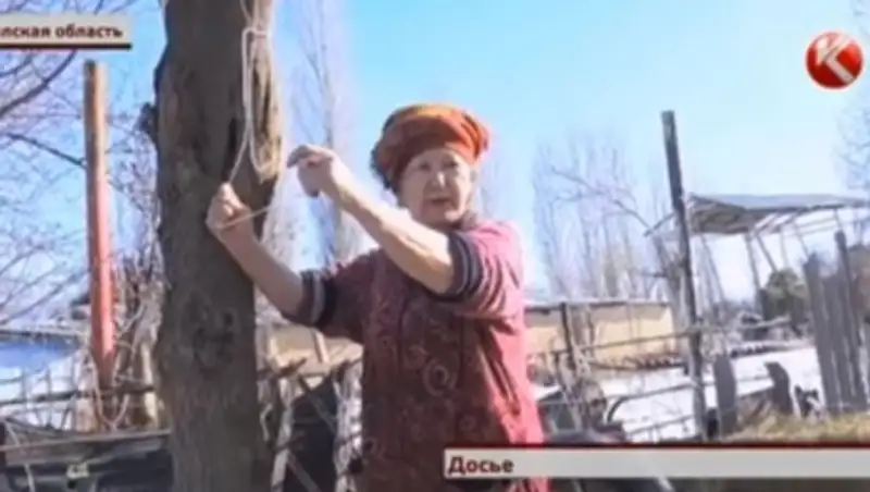 В Жамбылской области отчима осудили за унижение приемных детей