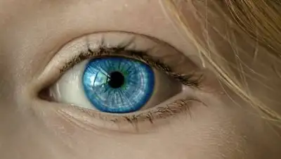 PxHere, фото - Новости Zakon.kz от 16.10.2021 09:52