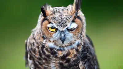 Zakon.kz, фото - Новости Zakon.kz от 10.01.2017 19:24