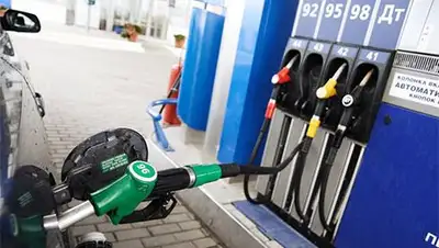 Zakon.kz, фото - Новости Zakon.kz от 05.02.2015 20:36