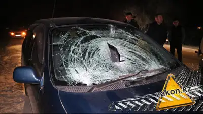 zakon.kz, фото - Новости Zakon.kz от 23.04.2019 15:56