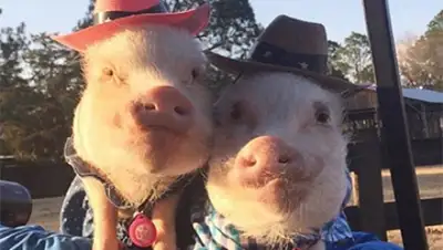 Zakon.kz, фото - Новости Zakon.kz от 27.02.2016 03:37